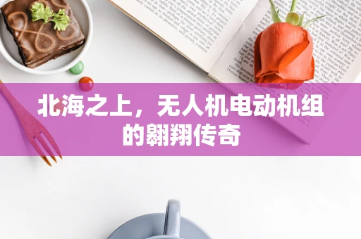 北海之上，无人机电动机组的翱翔传奇