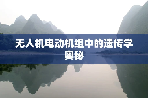 无人机电动机组中的遗传学奥秘