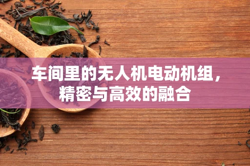 车间里的无人机电动机组，精密与高效的融合
