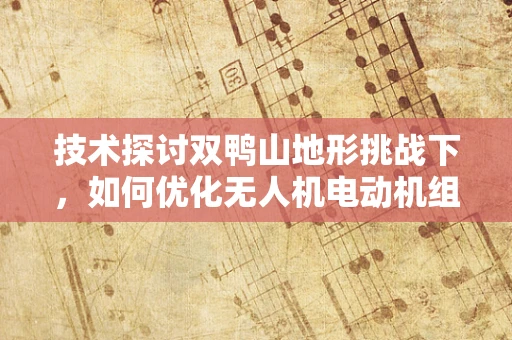 技术探讨双鸭山地形挑战下，如何优化无人机电动机组的飞行稳定性？