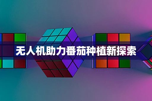 无人机助力番茄种植新探索