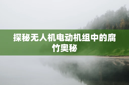 探秘无人机电动机组中的腐竹奥秘