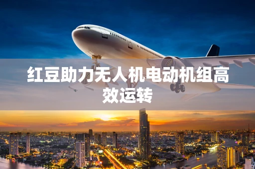 红豆助力无人机电动机组高效运转