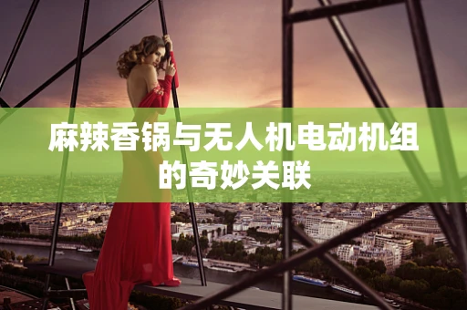 麻辣香锅与无人机电动机组的奇妙关联