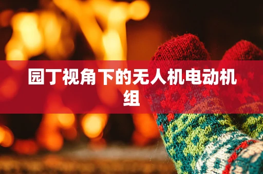 园丁视角下的无人机电动机组