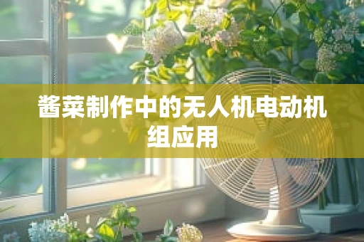酱菜制作中的无人机电动机组应用