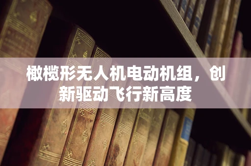 橄榄形无人机电动机组，创新驱动飞行新高度