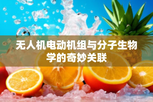 无人机电动机组与分子生物学的奇妙关联