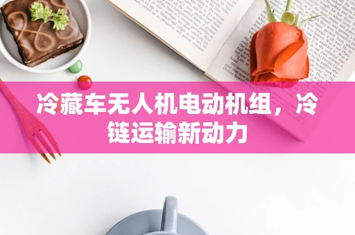 冷藏车无人机电动机组，冷链运输新动力