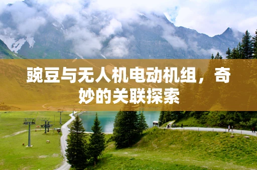 豌豆与无人机电动机组，奇妙的关联探索