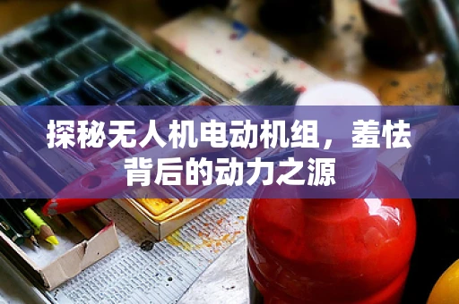 探秘无人机电动机组，羞怯背后的动力之源