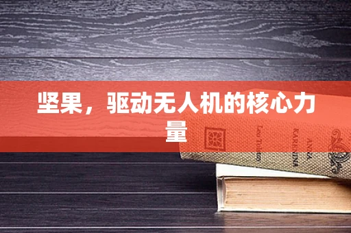 坚果，驱动无人机的核心力量