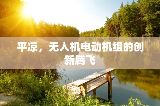 平凉，无人机电动机组的创新腾飞