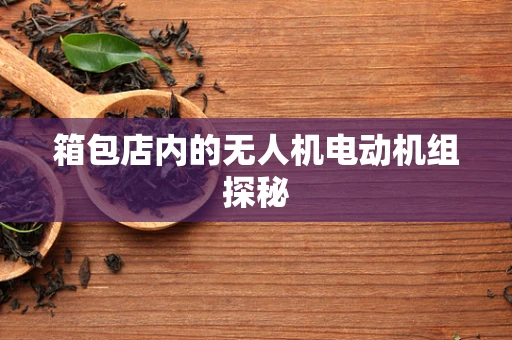 箱包店内的无人机电动机组探秘