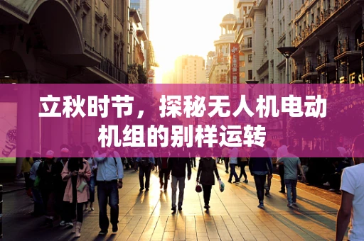立秋时节，探秘无人机电动机组的别样运转