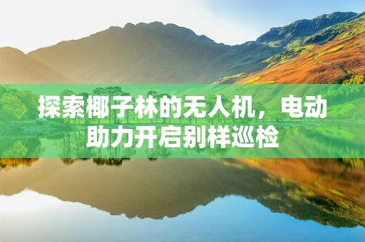 探索椰子林的无人机，电动助力开启别样巡检