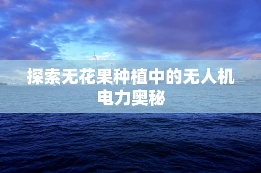 探索无花果种植中的无人机电力奥秘