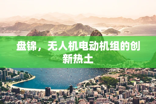 盘锦，无人机电动机组的创新热土