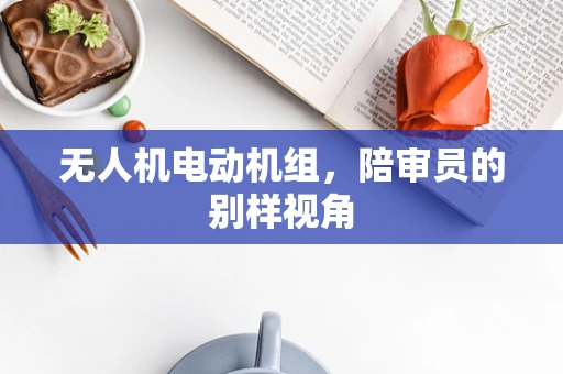 无人机电动机组，陪审员的别样视角