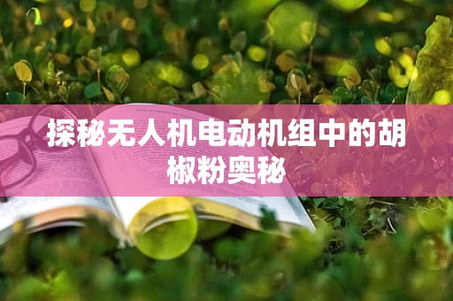 探秘无人机电动机组中的胡椒粉奥秘