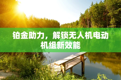 铂金助力，解锁无人机电动机组新效能
