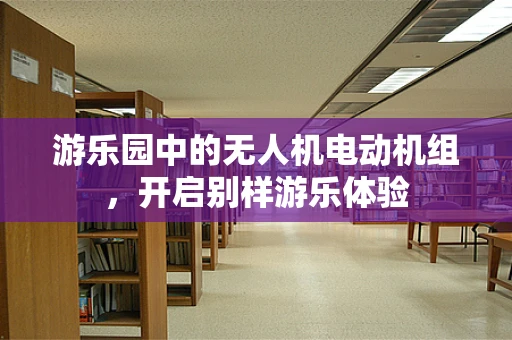 游乐园中的无人机电动机组，开启别样游乐体验