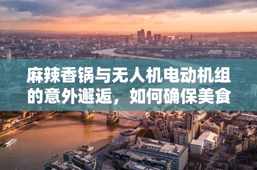 麻辣香锅与无人机电动机组的意外邂逅，如何确保美食与科技的无缝对接？