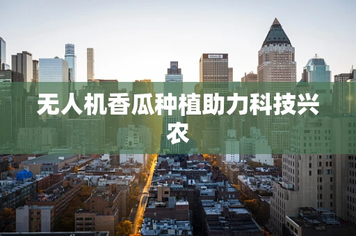 无人机香瓜种植助力科技兴农