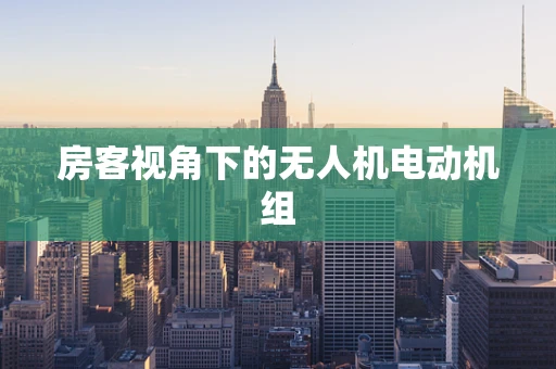 房客视角下的无人机电动机组