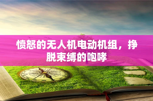 愤怒的无人机电动机组，挣脱束缚的咆哮