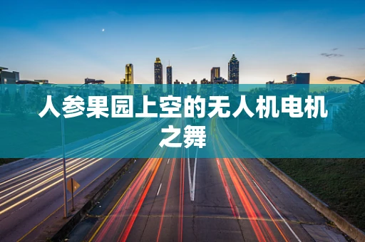 人参果园上空的无人机电机之舞