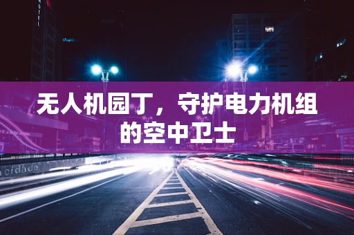 无人机园丁，守护电力机组的空中卫士