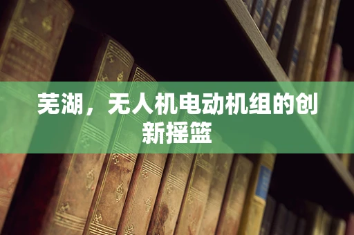 芜湖，无人机电动机组的创新摇篮