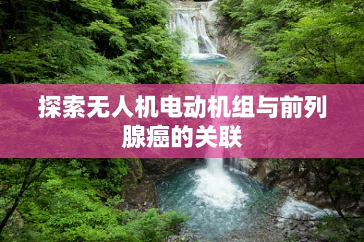 探索无人机电动机组与前列腺癌的关联