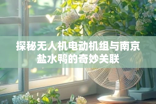 探秘无人机电动机组与南京盐水鸭的奇妙关联