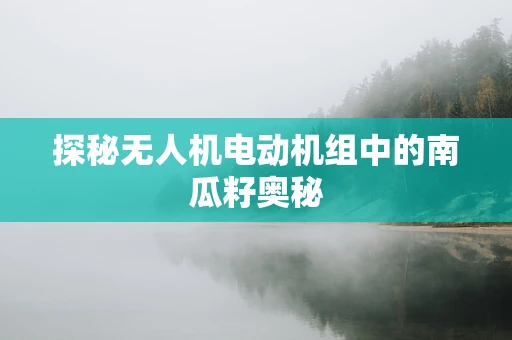 探秘无人机电动机组中的南瓜籽奥秘