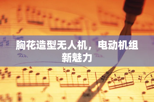 胸花造型无人机，电动机组新魅力