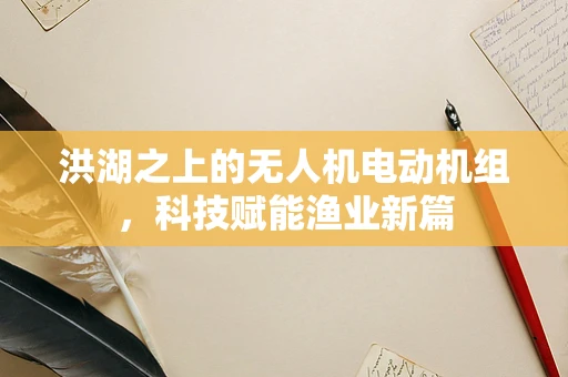 洪湖之上的无人机电动机组，科技赋能渔业新篇