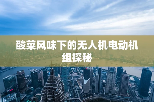 酸菜风味下的无人机电动机组探秘