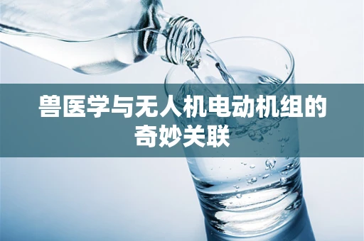 兽医学与无人机电动机组的奇妙关联