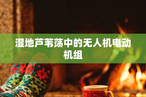 湿地芦苇荡中的无人机电动机组
