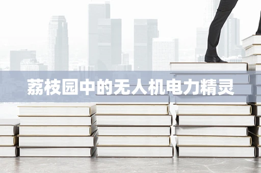 荔枝园中的无人机电力精灵