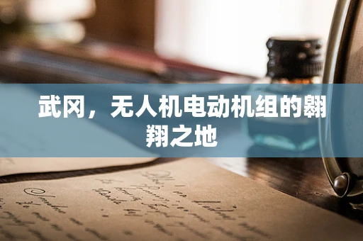 武冈，无人机电动机组的翱翔之地