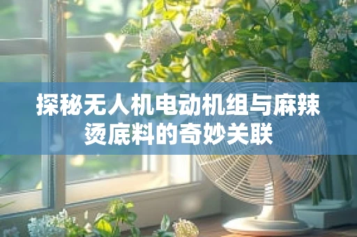 探秘无人机电动机组与麻辣烫底料的奇妙关联