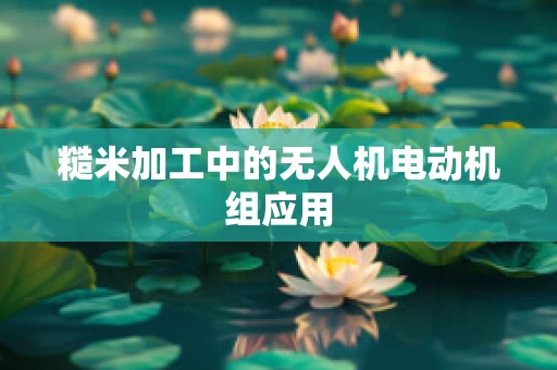 糙米加工中的无人机电动机组应用