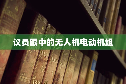 议员眼中的无人机电动机组