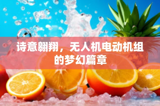 诗意翱翔，无人机电动机组的梦幻篇章