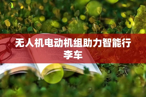 无人机电动机组助力智能行李车