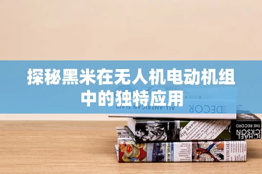 探秘黑米在无人机电动机组中的独特应用