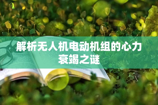 解析无人机电动机组的心力衰竭之谜